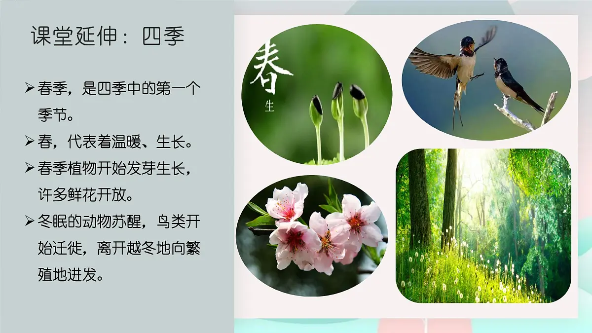 学前教育大班《四季的森林》课件第6页