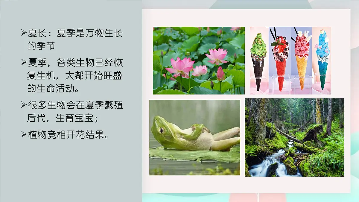 学前教育大班《四季的森林》课件第7页