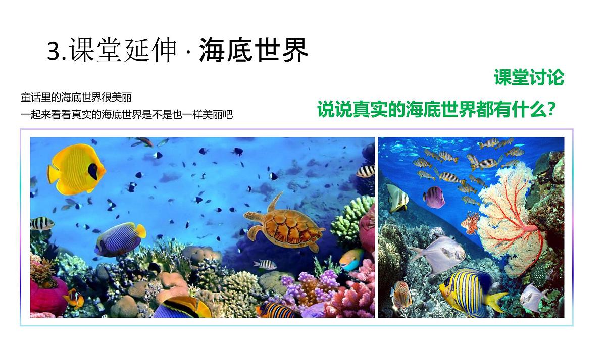 学前教育大班《海的女儿》课件第7页
