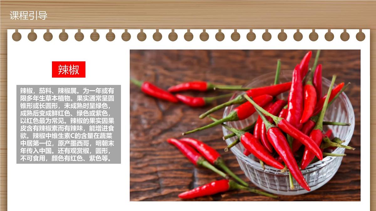 学前教育大班《热情的辣椒》课件第4页