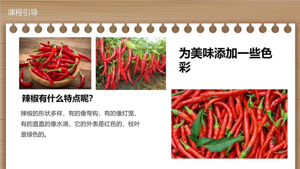 学前教育大班《热情的辣椒》课件第6页