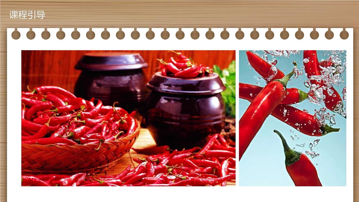 学前教育大班《热情的辣椒》课件第8页
