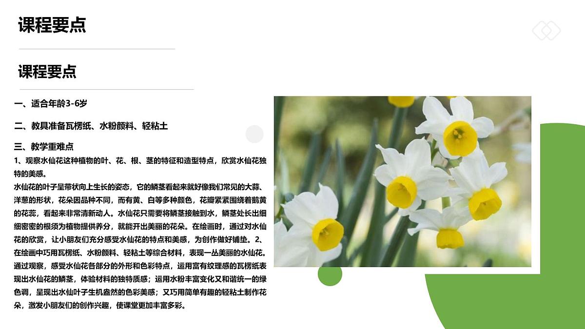 学前教育大班《“凌波仙子”水仙花》课件第2页