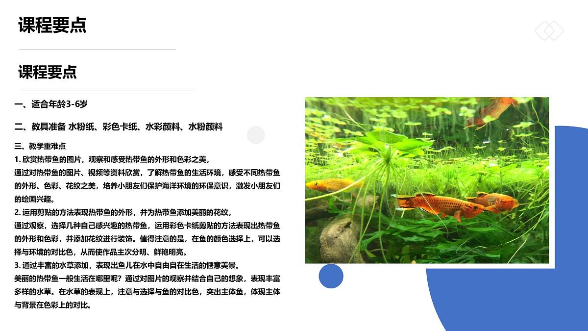 学前教育大班《五彩斑斓的热带鱼》课件第2页