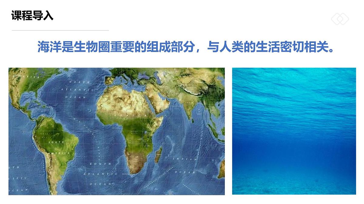学前教育大班《五彩斑斓的热带鱼》课件第4页