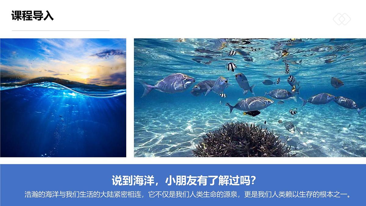 学前教育大班《五彩斑斓的热带鱼》课件第5页