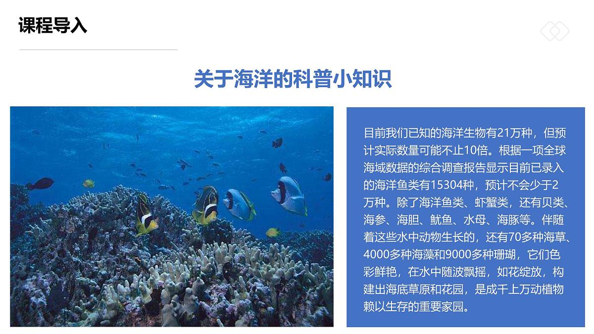 学前教育大班《五彩斑斓的热带鱼》课件第6页
