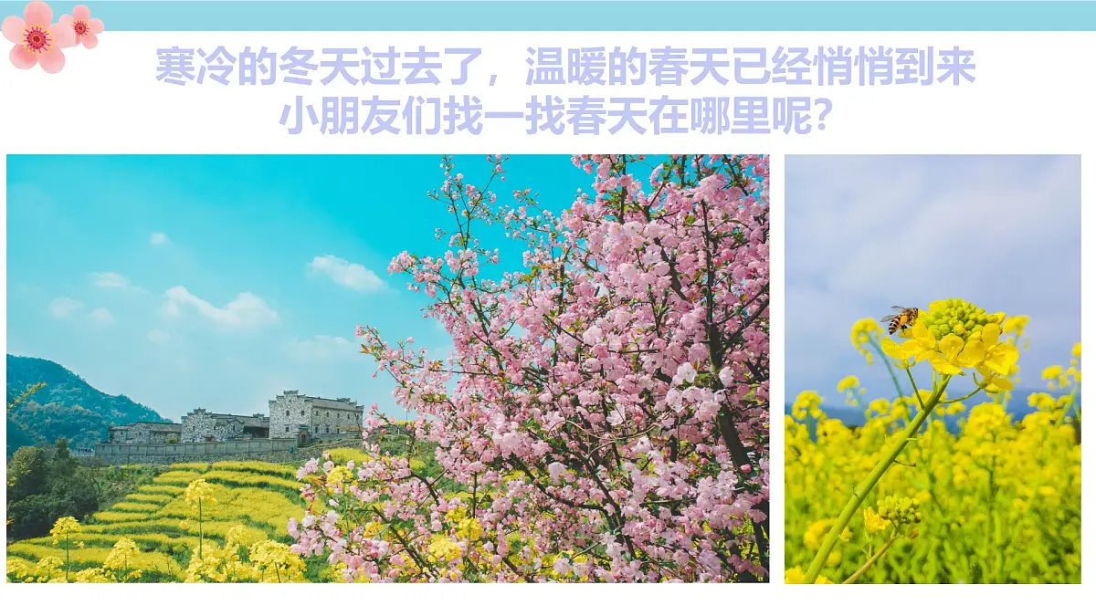 学前教育大班《春暖花开》课件第4页