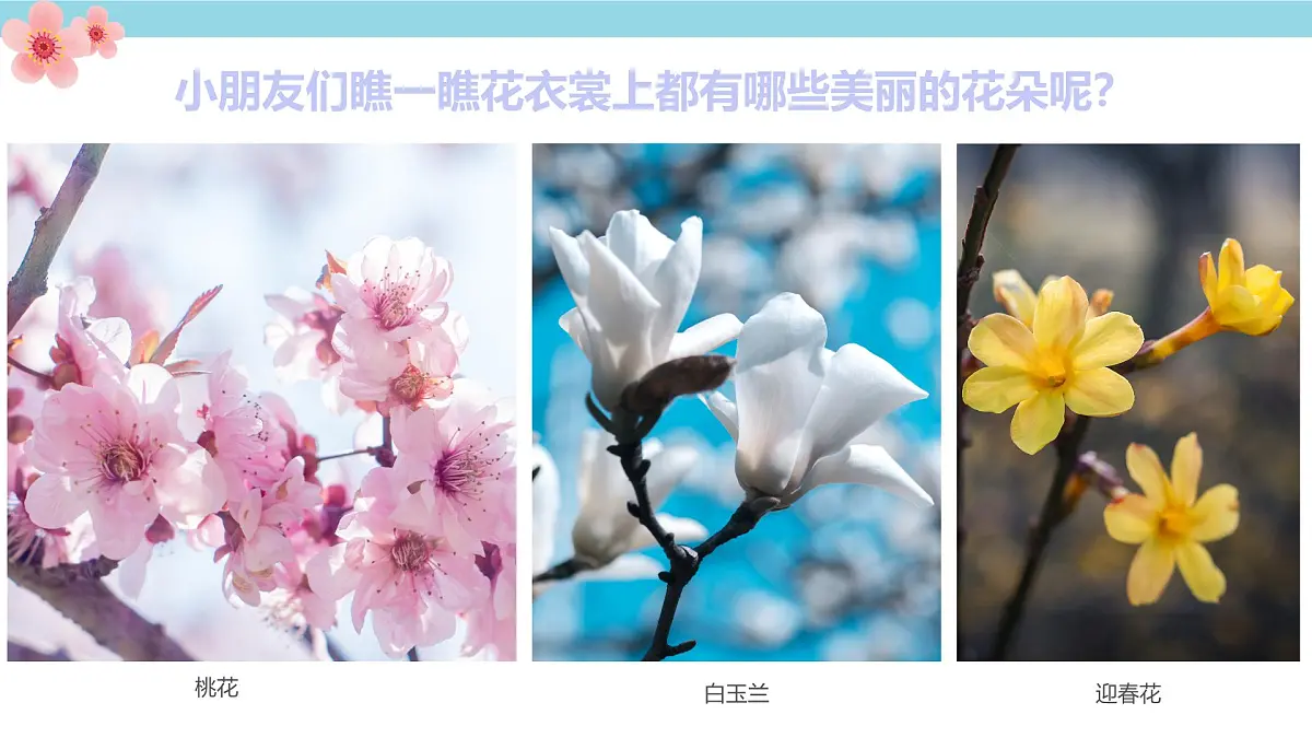 学前教育大班《春暖花开》课件第7页
