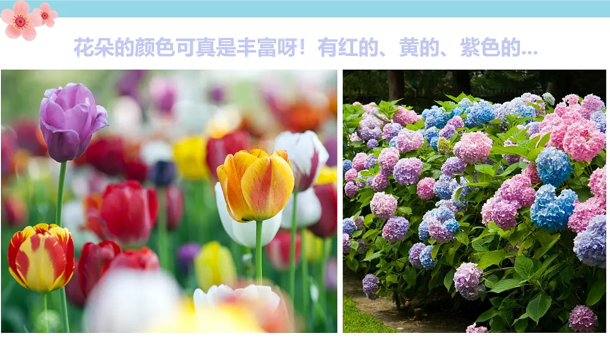 学前教育大班《春暖花开》课件第8页