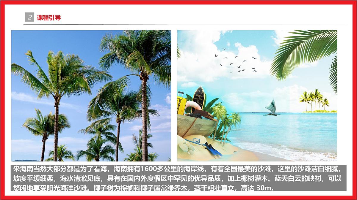 学前教育大班《一起去海南》课件第5页