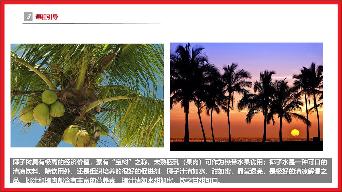 学前教育大班《一起去海南》课件第6页