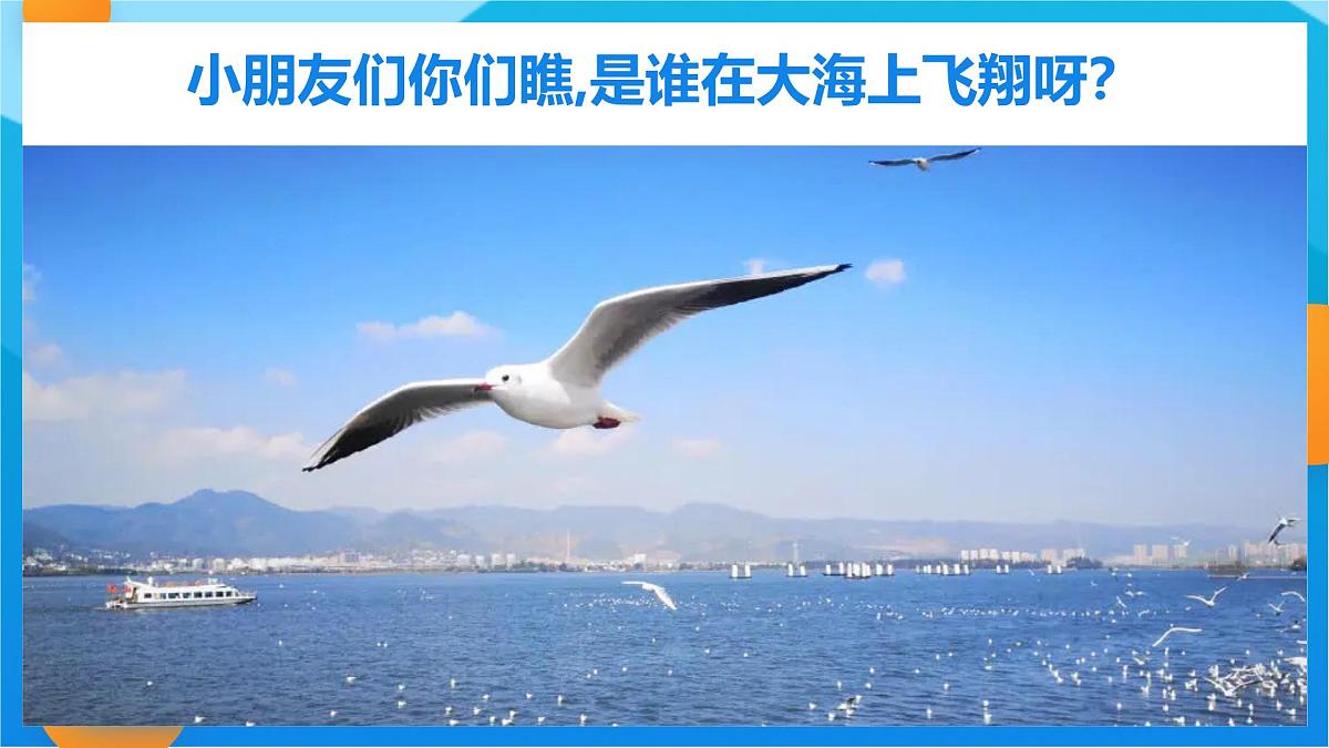 学前教育大班《海鸥啊海鸥》课件第4页