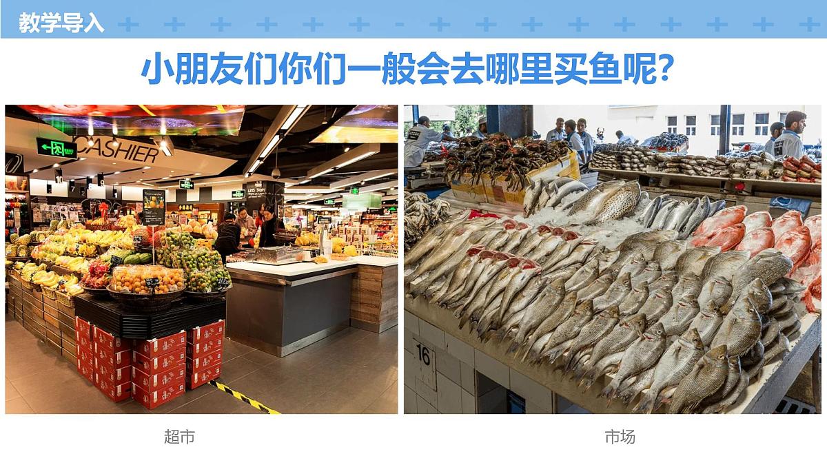 学前教育大班《冰上的鲜鱼》课件第5页