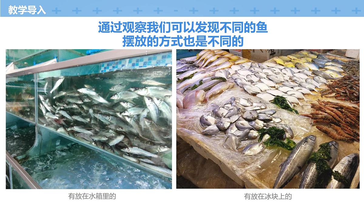 学前教育大班《冰上的鲜鱼》课件第6页
