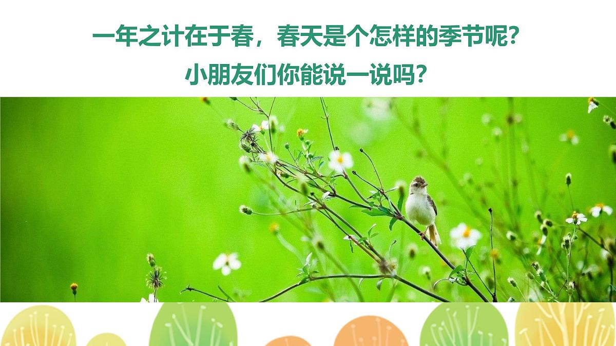 学前教育大班《热闹的森林家园》课件第4页