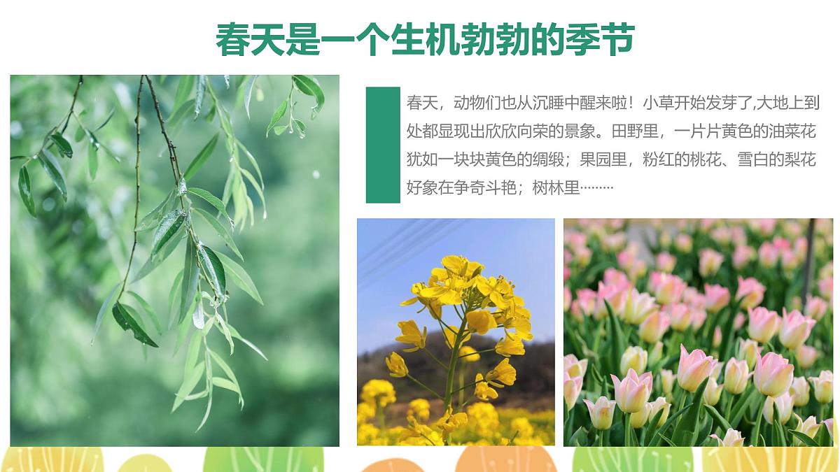 学前教育大班《热闹的森林家园》课件第5页
