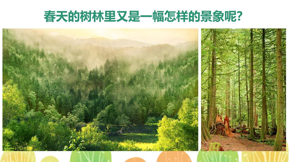 学前教育大班《热闹的森林家园》课件第6页
