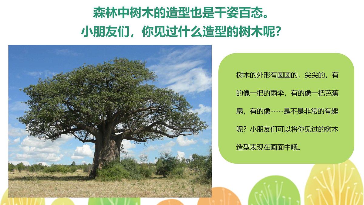学前教育大班《热闹的森林家园》课件第7页