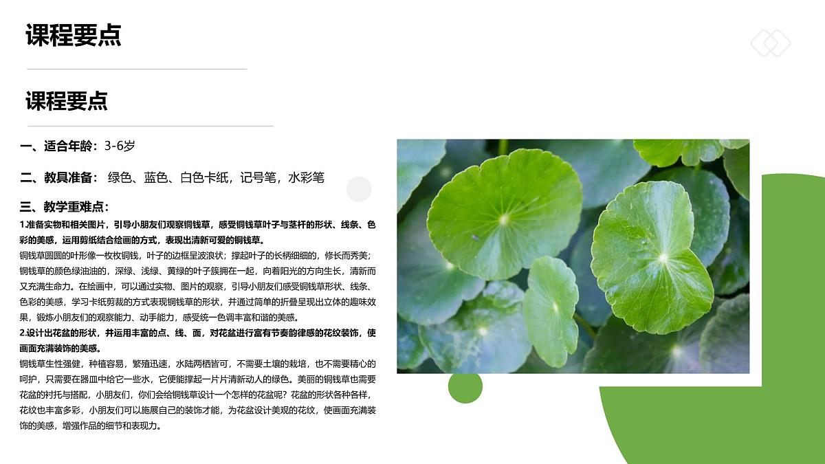 学前教育大班《圆圆一叶铜钱草》课件第2页