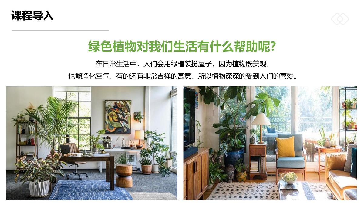 学前教育大班《圆圆一叶铜钱草》课件第5页