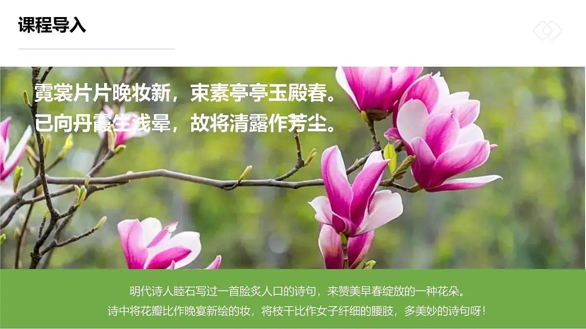 学前教育大班《玉兰花开》课件第4页