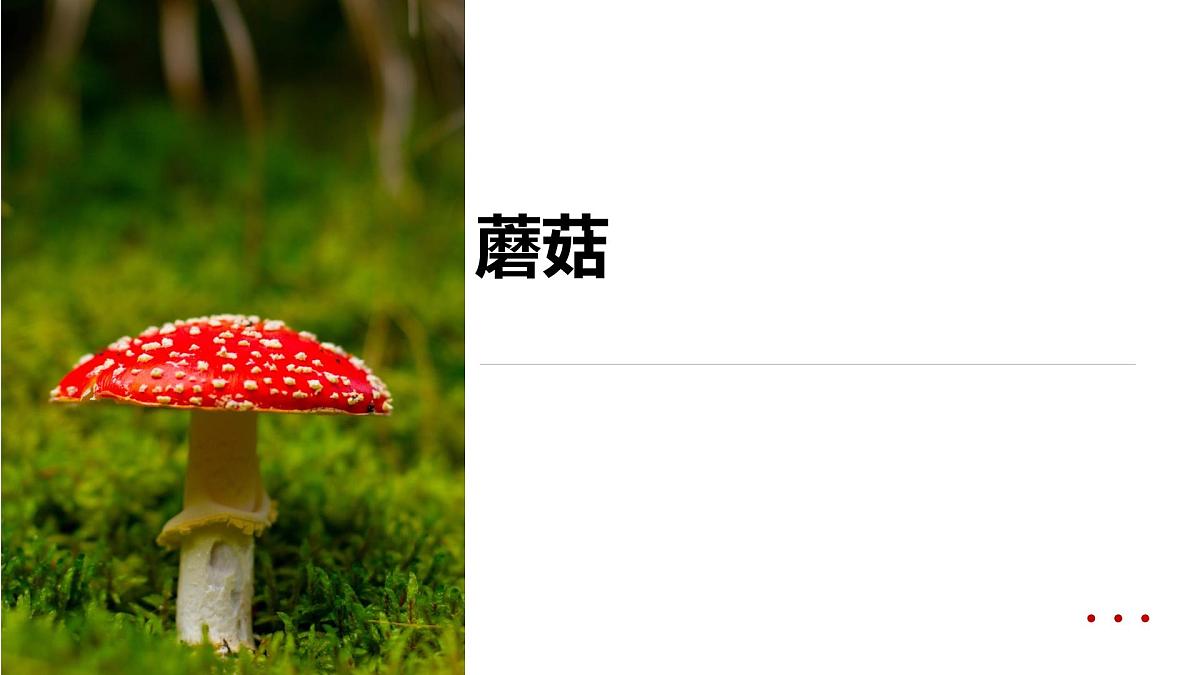学前教育大班《五彩的小蘑菇》课件第1页