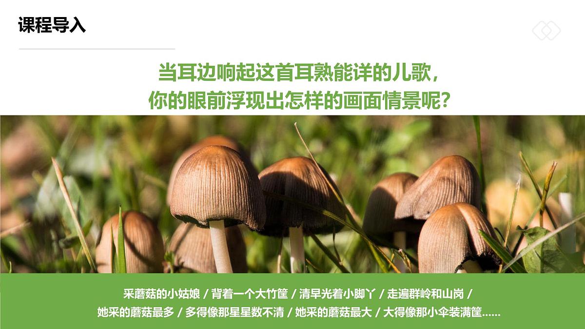 学前教育大班《五彩的小蘑菇》课件第4页