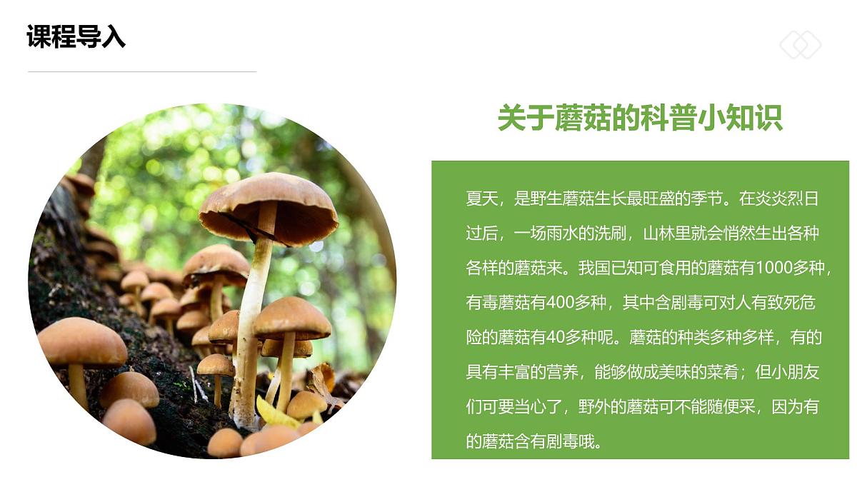 学前教育大班《五彩的小蘑菇》课件第6页