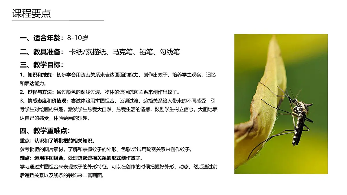 学前教育大班《蚊子》课件第2页