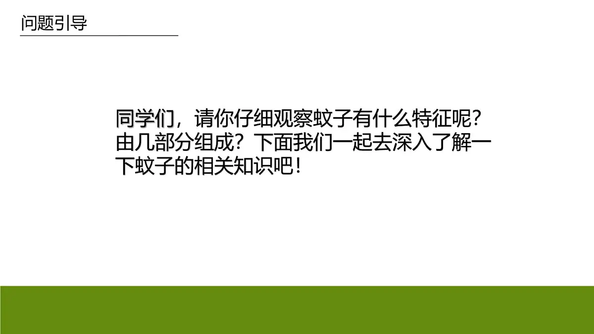 学前教育大班《蚊子》课件第7页