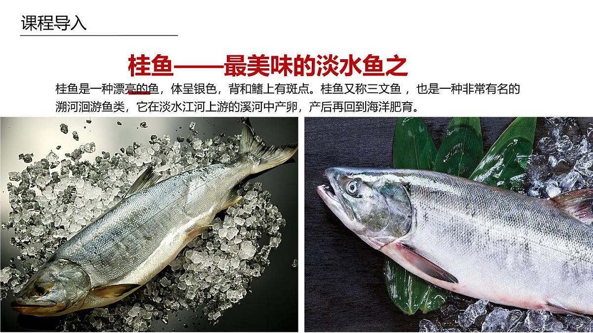 学前教育大班《臭桂鱼》课件第5页