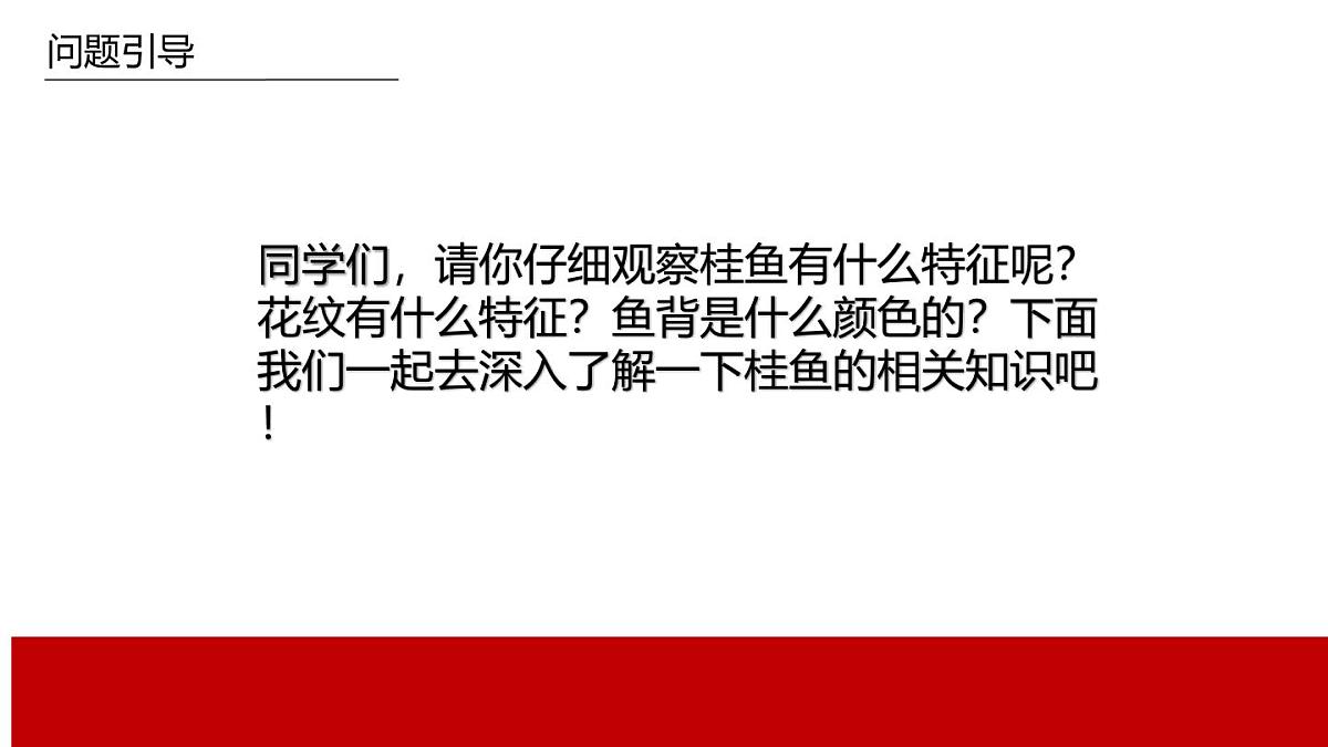学前教育大班《臭桂鱼》课件第7页