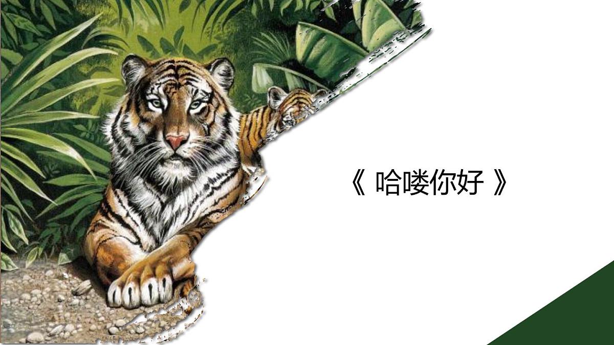 学前教育大班《哈喽你好》课件第1页
