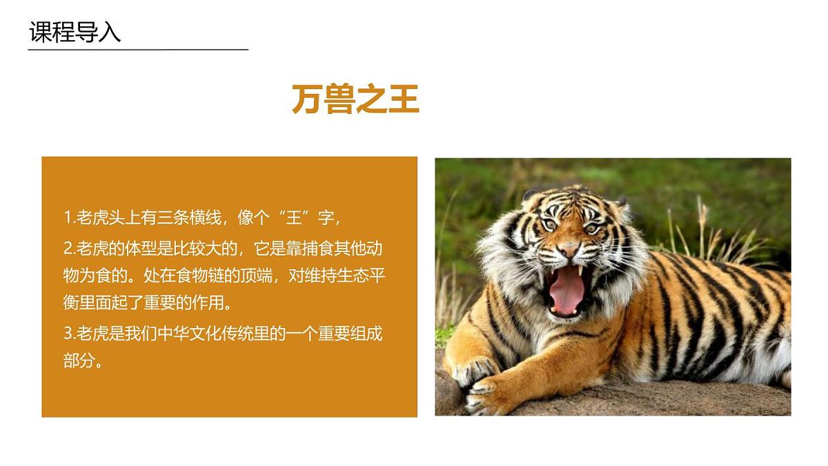 学前教育大班《哈喽你好》课件第6页