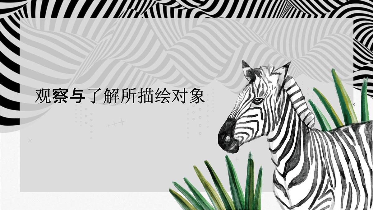学前教育大班《草原斑马》课件第3页