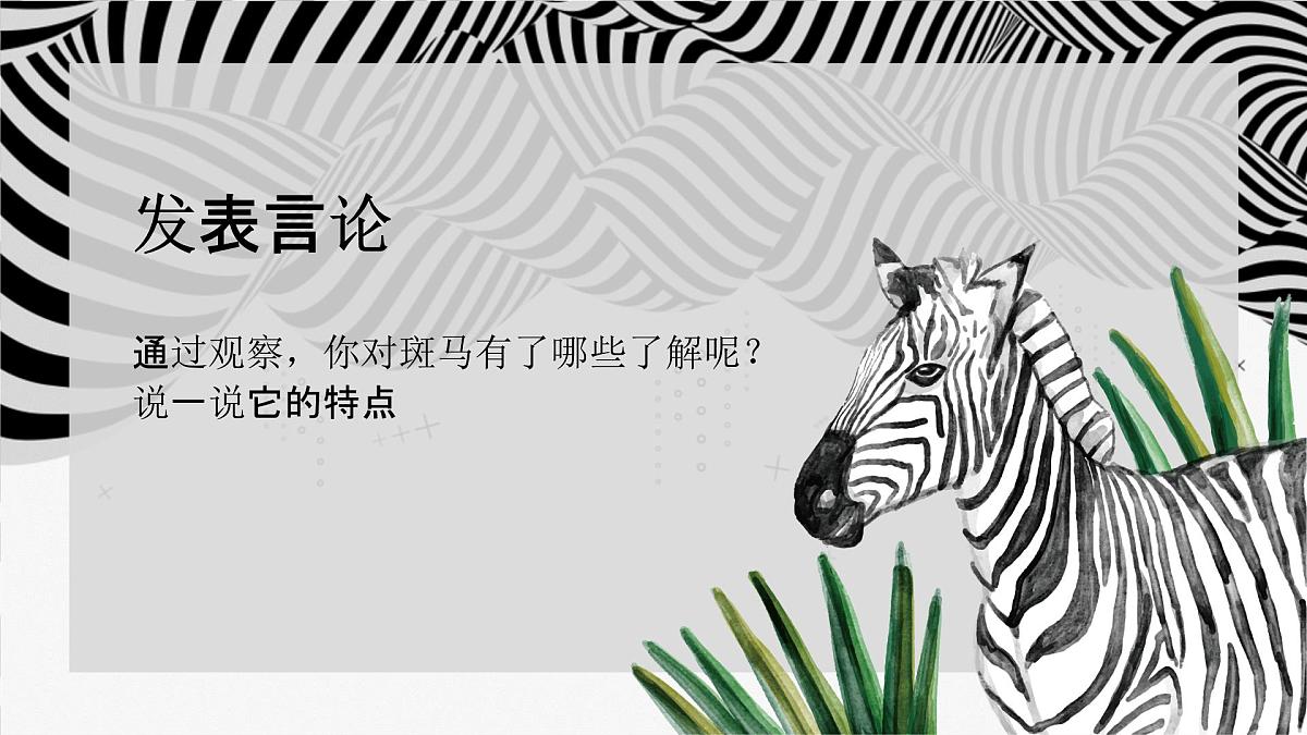 学前教育大班《草原斑马》课件第8页