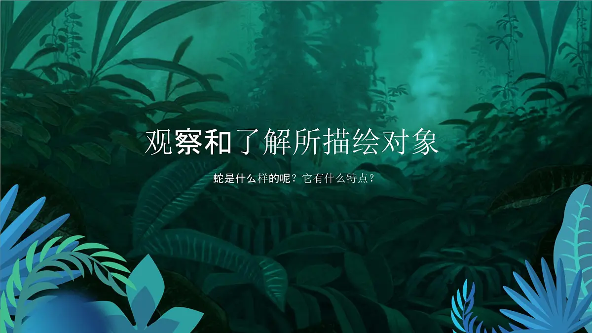 学前教育大班《丛林里的大蟒蛇》课件第3页