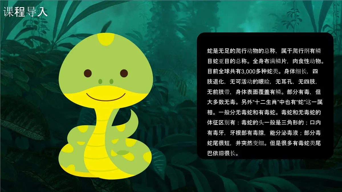 学前教育大班《丛林里的大蟒蛇》课件第4页