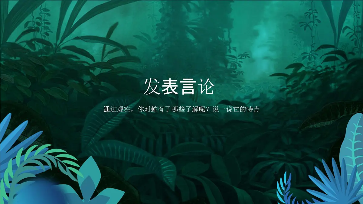 学前教育大班《丛林里的大蟒蛇》课件第8页