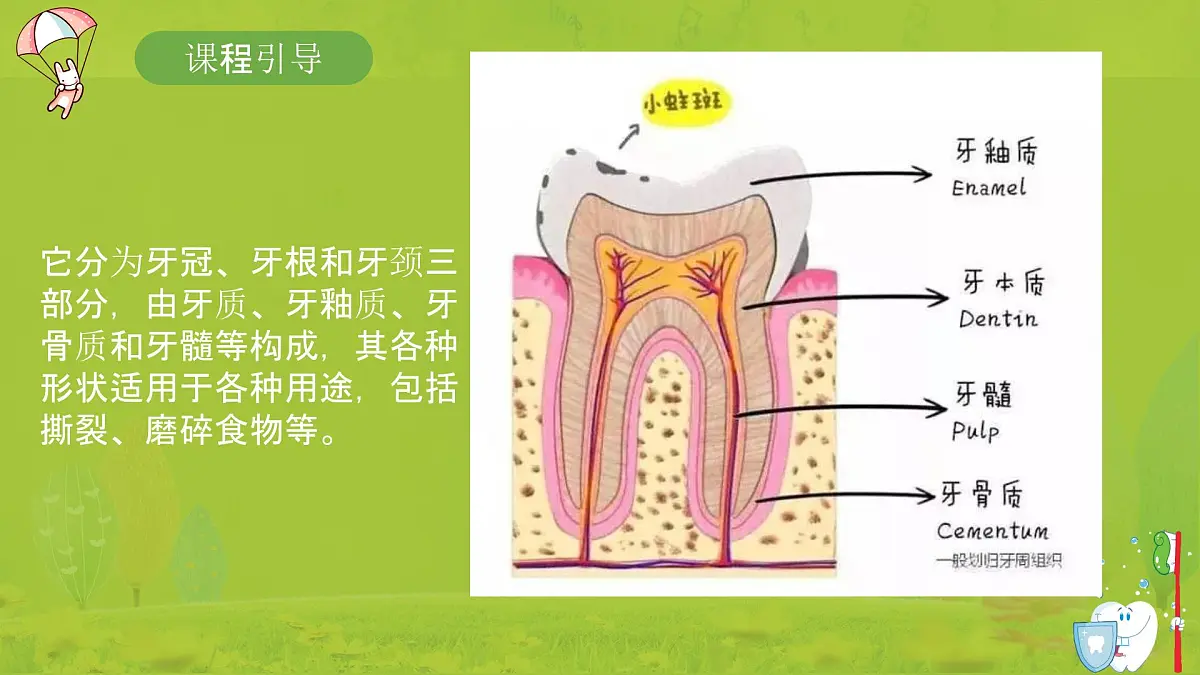 学前教育大班《决战牙细菌》课件第7页