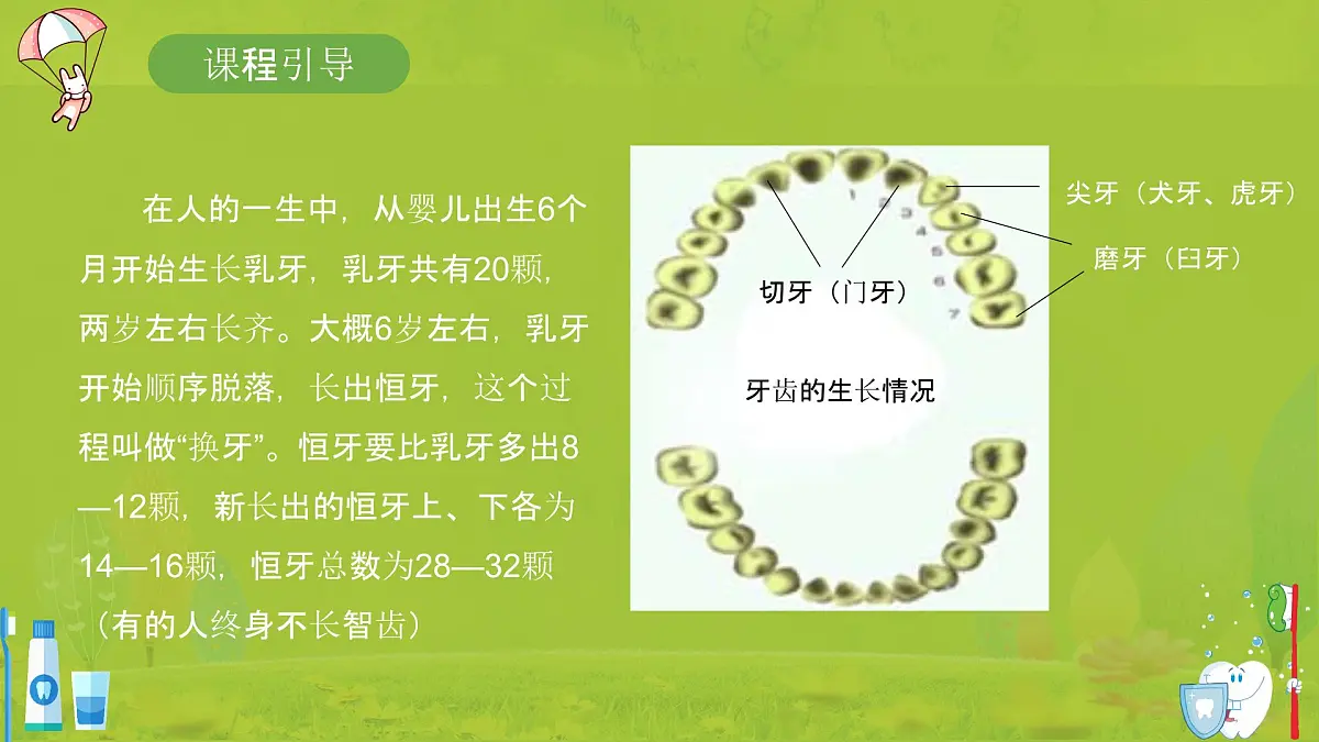 学前教育大班《决战牙细菌》课件第8页