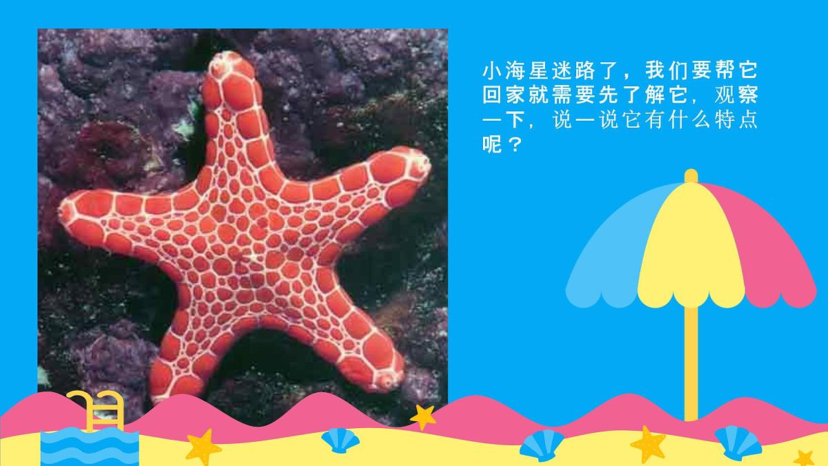 学前教育大班《迷路的小海星》课件第4页