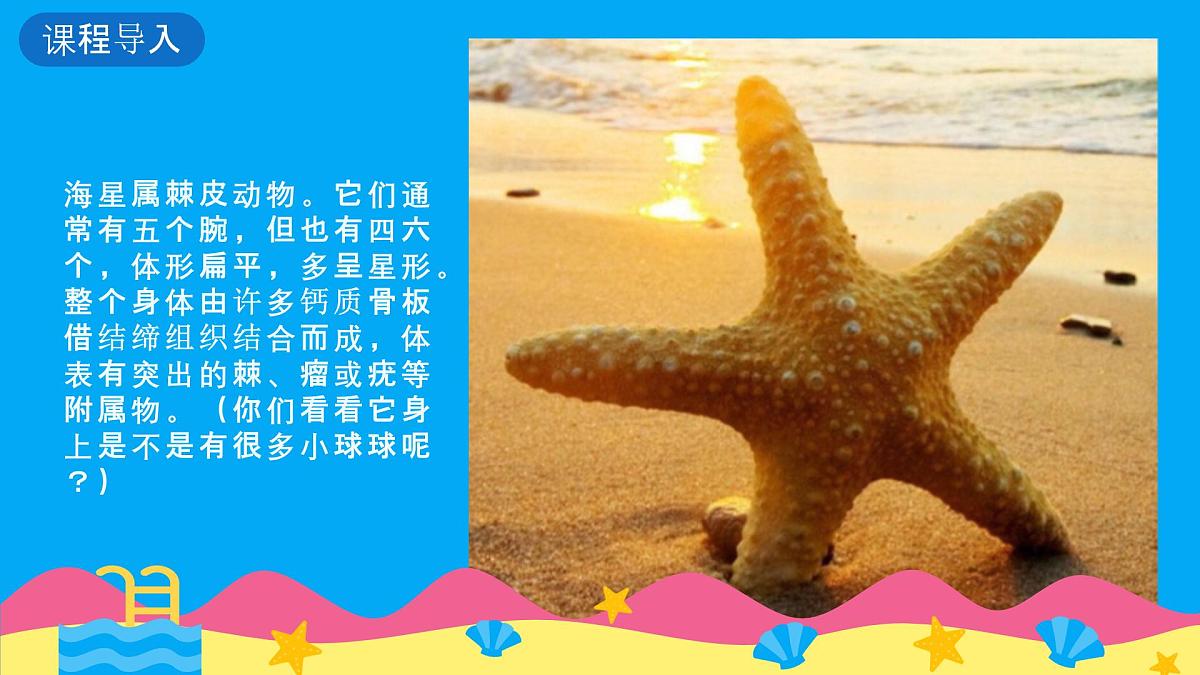 学前教育大班《迷路的小海星》课件第5页