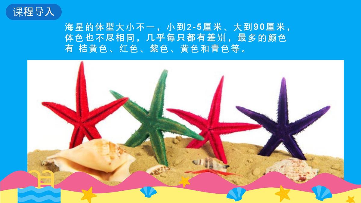 学前教育大班《迷路的小海星》课件第7页