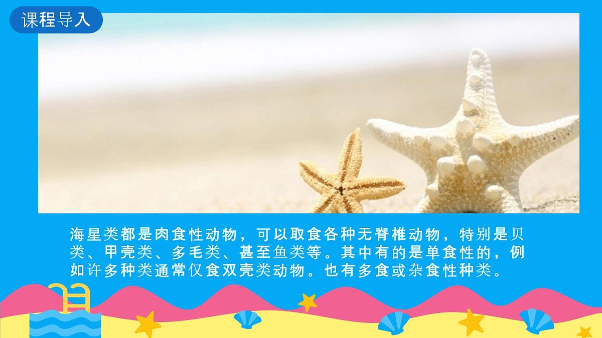学前教育大班《迷路的小海星》课件第8页
