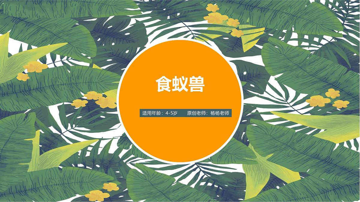 学前教育大班《食蚁兽》课件第1页