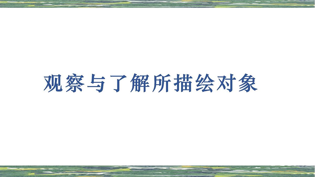 学前教育大班《食蚁兽》课件第3页