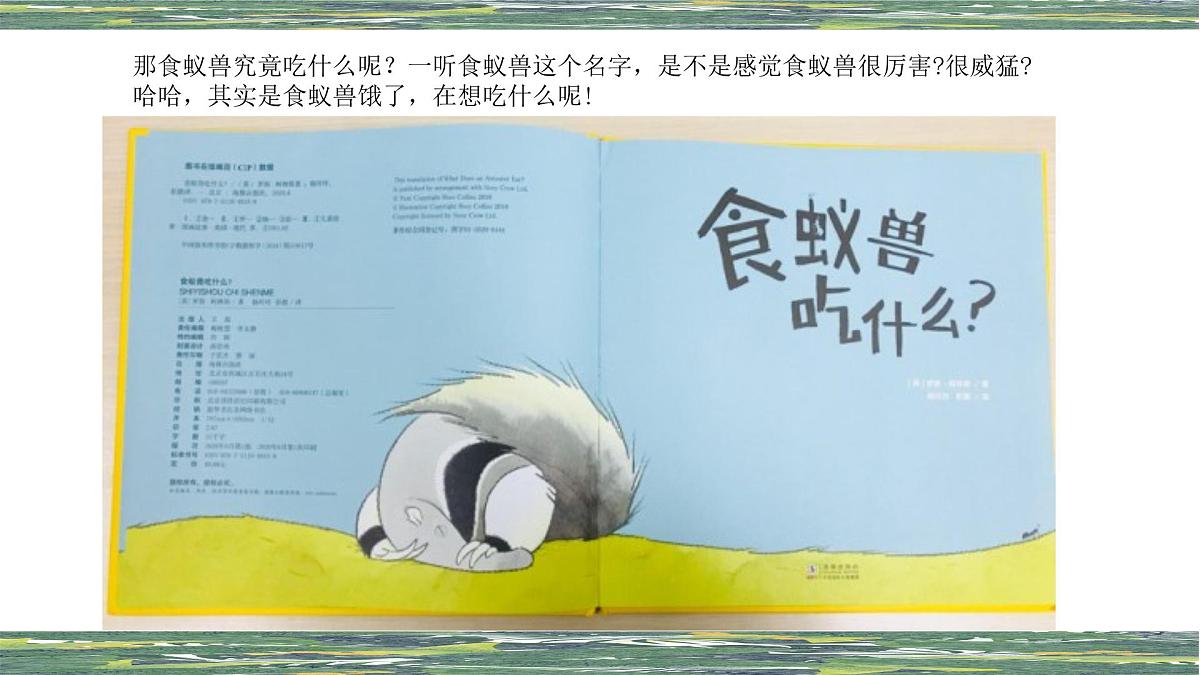 学前教育大班《食蚁兽》课件第8页