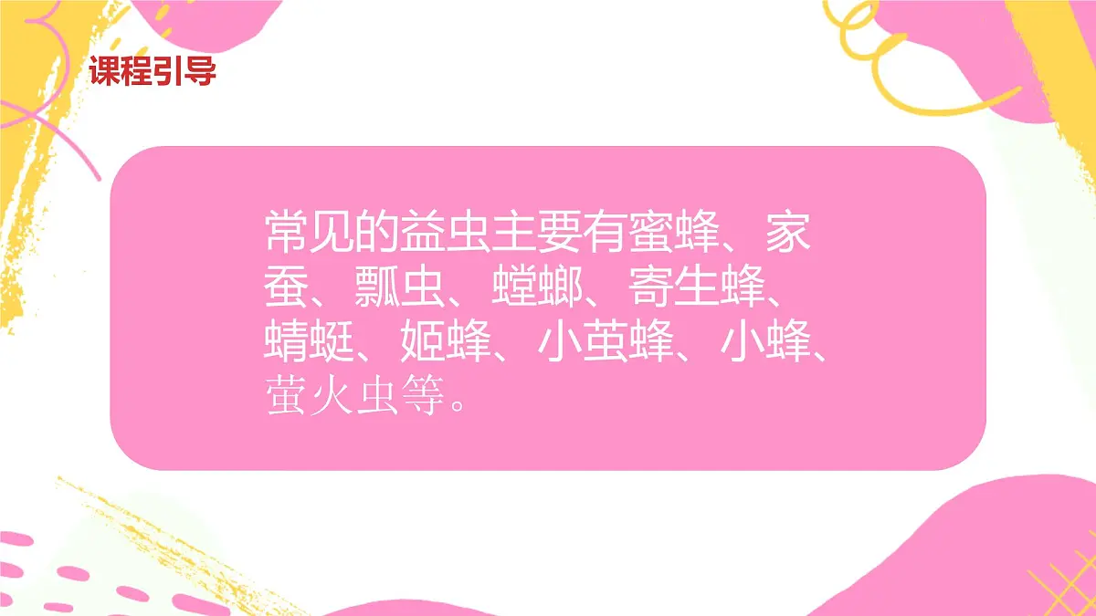 学前教育大班《昆虫王国》课件第7页
